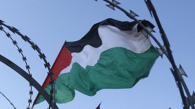 لجنة دولية ترحب بقرار الجنائية التحقيق بجرائم "إسرائيل"