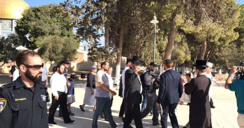 Les colons renouvellent leurs incursions dans la Mosquée d’Al-Aqsa