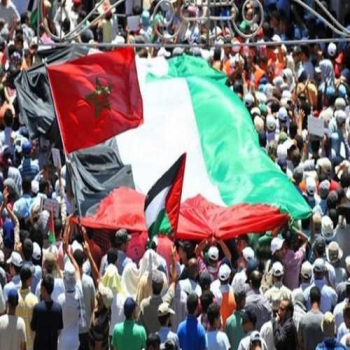 منظمات مغربية تدعو إلى مسيرة كبرى لدعم فلسطين ضد "صفقة العار"