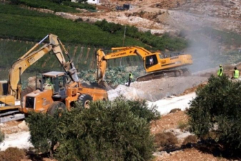 ISRAELI BULLDOZERS RAZE AGRICULTURAL ROAD SOUTH OF HEBRON