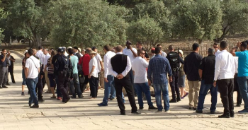 Des dizaines de colons profanent la mosquée Al-Aqsa