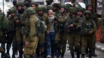 الاحتلال يعتقل 460 فلسطينيًا خلال فبراير