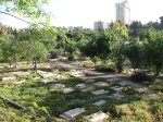 Islamic-Christian Committee denounces destruction of ancient cemetery in Jerusalem