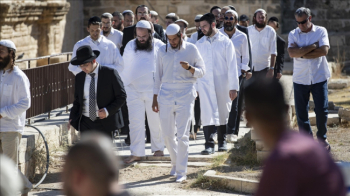 292 اسرائیلی آباد کار مسجد اقصیٰ میں گھس آئے