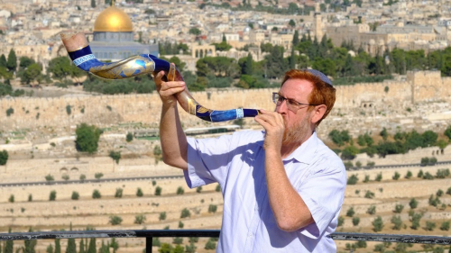 برلمانيون لأجل القدس تدين اعتداءات الاحتلال في مقبرة باب الرحمة المحاذية للمسجد الأقصى المبارك